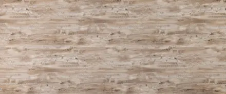 Дуб Аляска 523